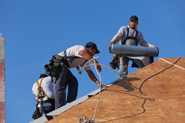 Best Local Roofing Companies  in Stro Valley, CA